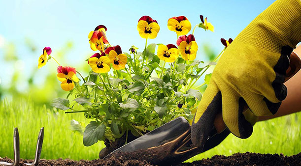 Ano ang ginagamit ng mga guwantes sa trabaho?